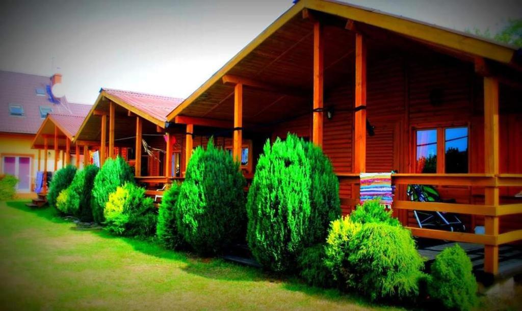 a house with a bunch of bushes in front of it at Domki letniskowe Nadia in Grzybowo
