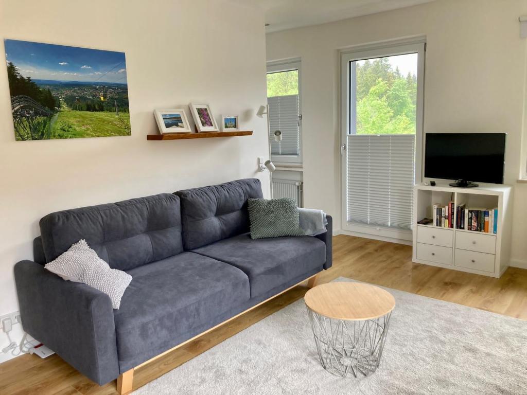 ein Wohnzimmer mit einem blauen Sofa und einem TV in der Unterkunft Hahnenklee Charme - moderne neue Ferienwohnung mit 2 Balkons in Hahnenklee-Bockswiese
