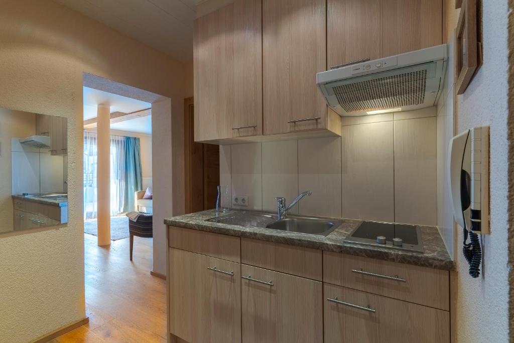 Kuchyňa alebo kuchynka v ubytovaní SR Apartments GmbH Rabitschhof
