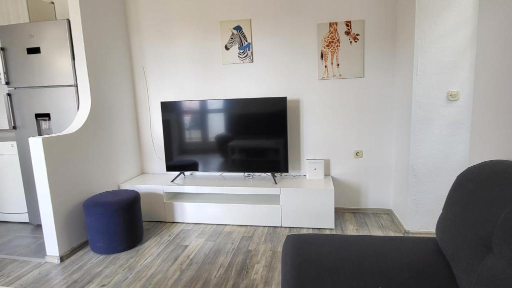 Televízia a/alebo spoločenská miestnosť v ubytovaní Old Market Apartment