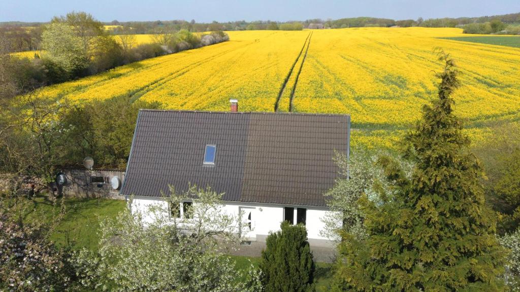 an overhead view of a house in the middle of a field at Kleines Haus am Feld in Rehna