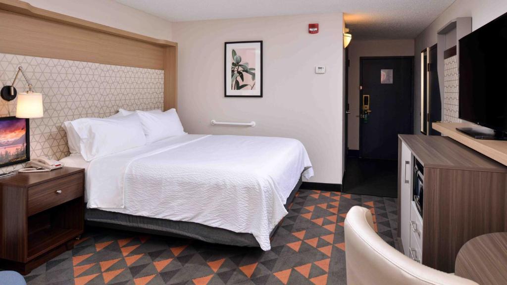 Holiday Inn Great Falls-Convention Center, an IHG Hotel - Suite King D'une Chambre Avec Rouleau En Douche