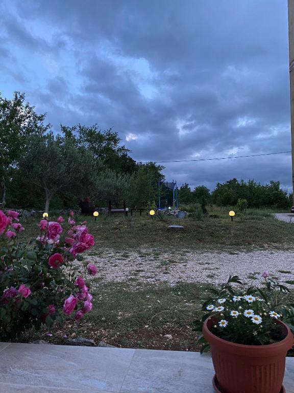 Fotografia z galérie ubytovania APARTMENT ANI, Lovreć - Makarska v destinácii Lovreć