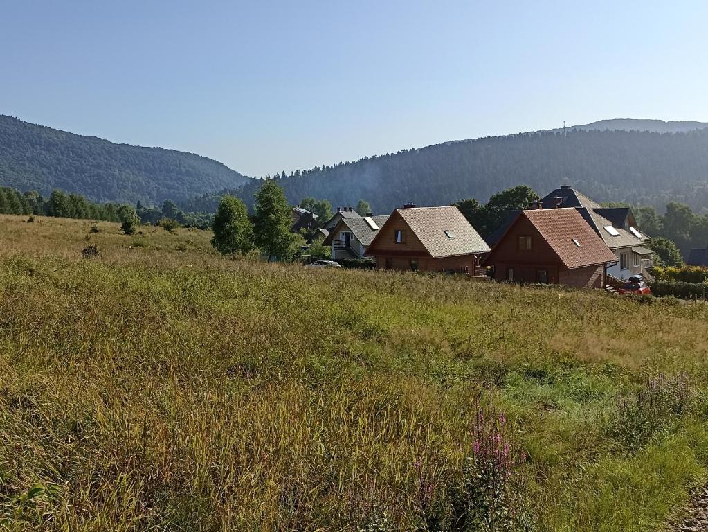 a group of houses on a hill in a field at Domki pod Honem w Cisnej in Cisna