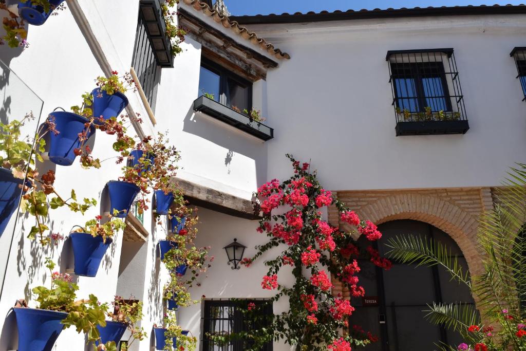 a white building with flowers in blue potted at Patio San Andrés in Córdoba