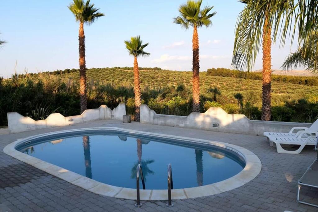 une piscine avec des palmiers en arrière-plan dans l'établissement Casa Nettuno in Villa Marisa, à Borgo Bonsignore