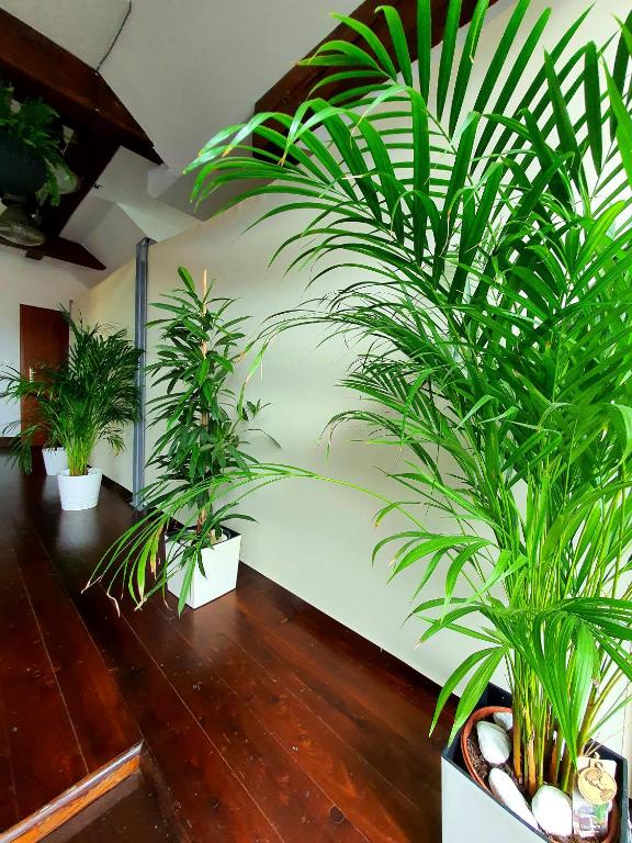 Fotografia z galérie ubytovania Suite Loft v destinácii Zabierzów