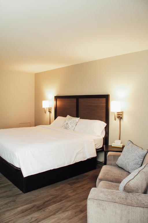 Country Squire Inn and Suites - 标准的国王室