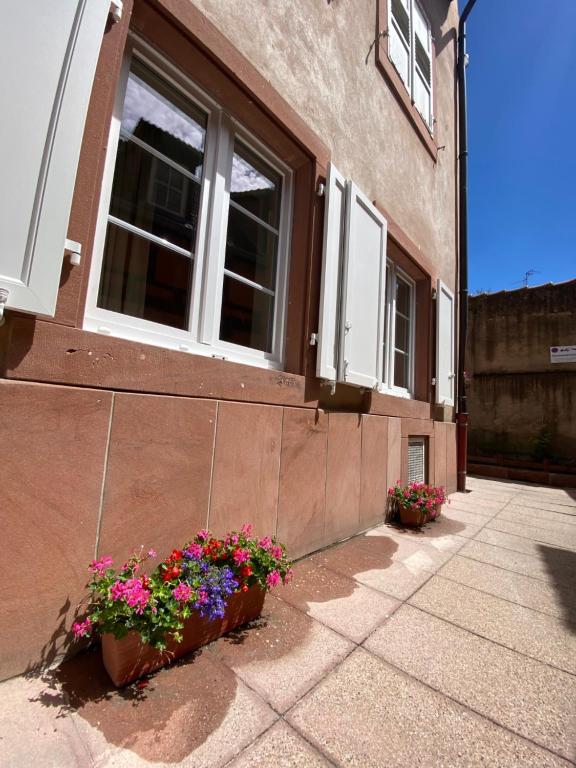 un edificio con dos ventanas y dos macetas en Logement de charme dans un monument historique daté de 1544, au centre de Haguenau en Haguenau