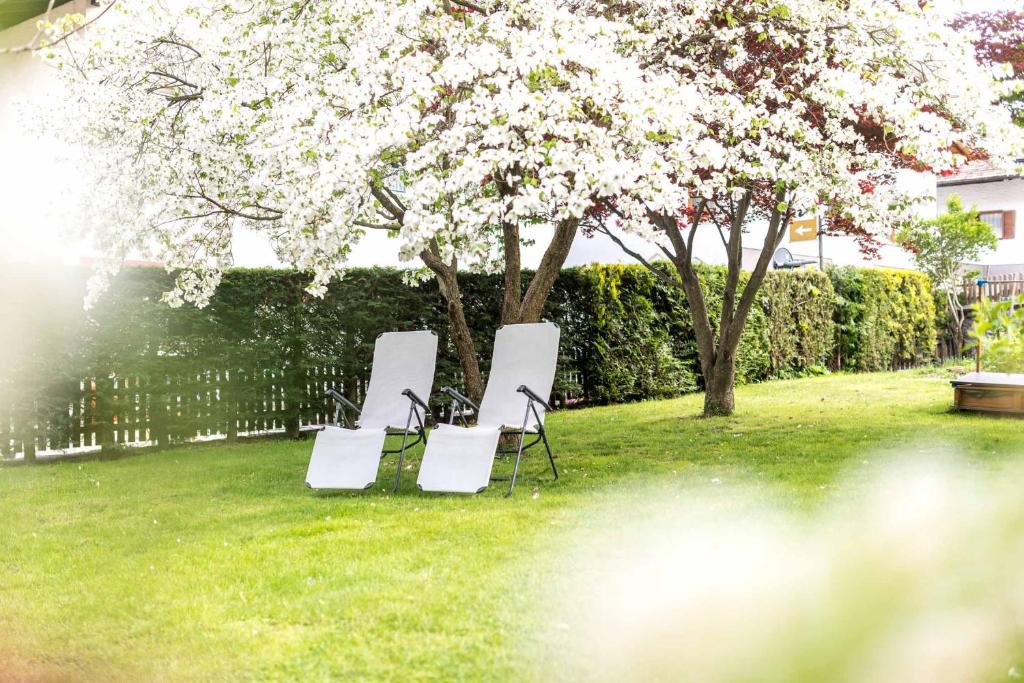 Ogród w obiekcie Taufner Apartement B 107