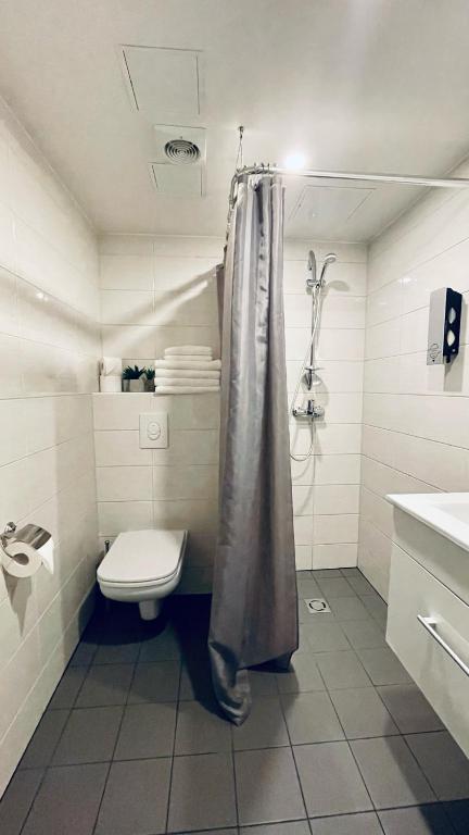Koupelna v ubytování Apartement Aisa