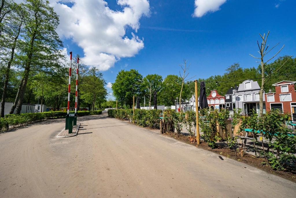 阿姆斯特尔芬EuroParcs Het Amsterdamse Bos的村里一条有房屋和树木的空街