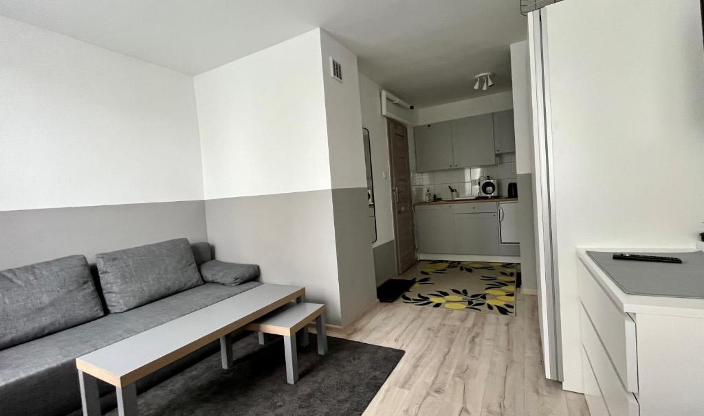 ein Wohnzimmer mit einem Sofa und einer Küche in der Unterkunft MŁAWSKA 33 in Rypin