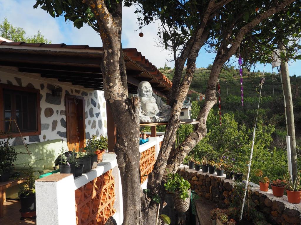 Zahrada ubytování Casa Shanti La Palma