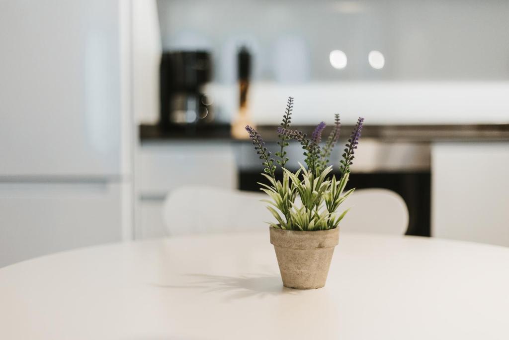 Apartamentos Mk77 León- Cantareros - 10