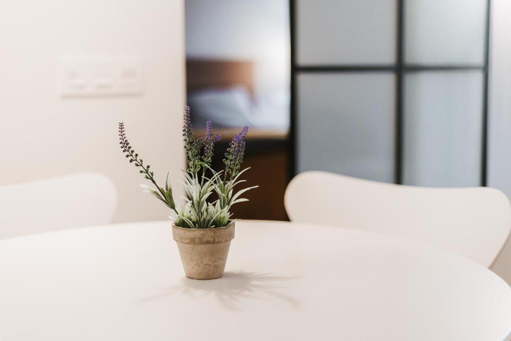 Apartamentos Mk77 León- Cantareros - 3