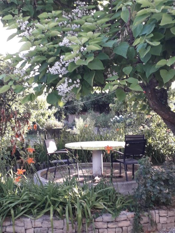 Ogród w obiekcie Rendez-vous au soleil de Provence - gite 4 personnes 80m2 - coin jardin - climatisation