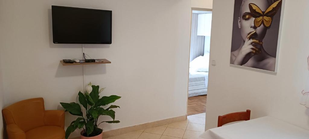 Apartments Grgo photo