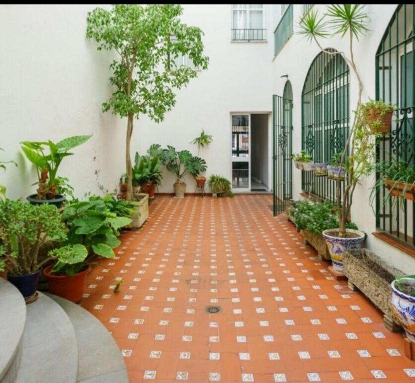 Vonkajšia záhrada v ubytovaní Apartment in the center of Seville