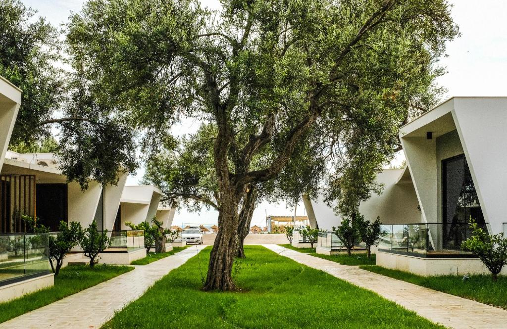 un arbre au milieu d'un trottoir devant un bâtiment dans l'établissement Luna Mare Seaside Suites, à Borsh