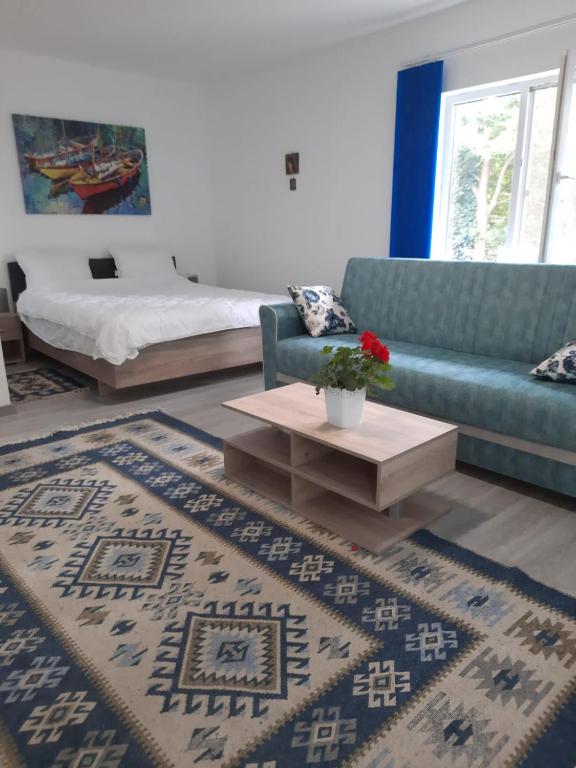 Postel nebo postele na pokoji v ubytování Casa Dobrogea