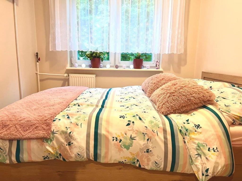 Φωτογραφία από το άλμπουμ του Apartament Pod Lipami σε Giżycko