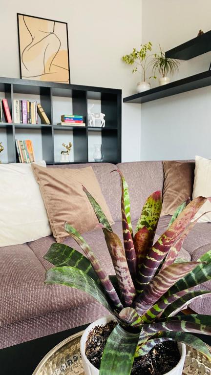 Posezení v ubytování Apartment Mira