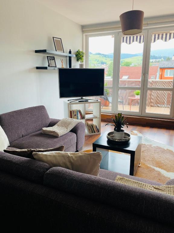 TV a/nebo společenská místnost v ubytování Apartment Mira