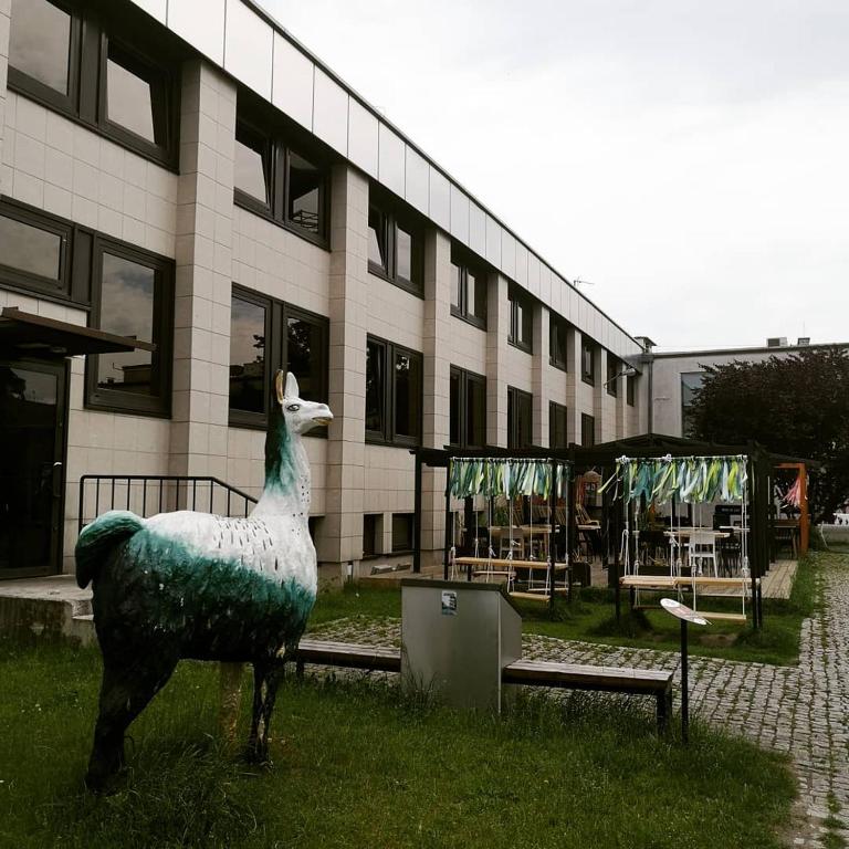 Zwierzęta w apartamencie lub w pobliżu