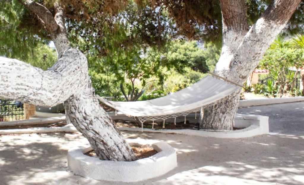 Fotografie z fotogalerie ubytování Pefkides Aegina Boutique Apartments v destinaci Agia Marina Aegina