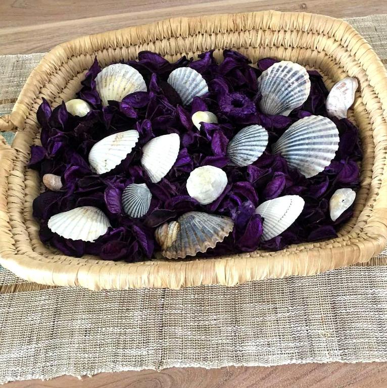 Kép Nautilus Beach Home szállásáról Platanídiában a galériában