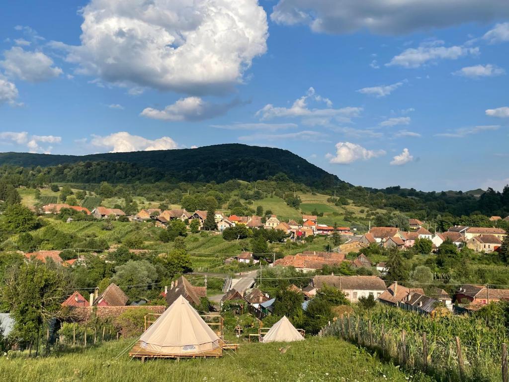 Saschiz 130/Lodging and Glamping - Tente