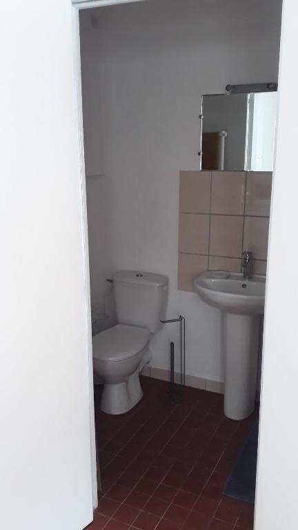 łazienka z toaletą i umywalką w obiekcie LE CAMELIA w mieście Éguzon-Chantôme