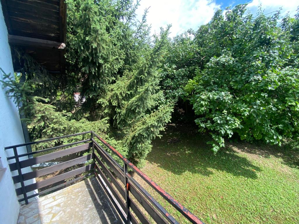 Zahrada ubytování Simsir villa Novi Sad wifi