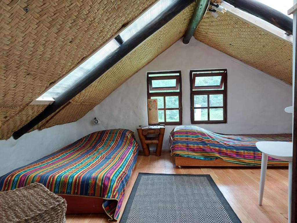 - une chambre mansardée avec 2 lits et une fenêtre dans l'établissement The Tree House, à Hacienda Estela