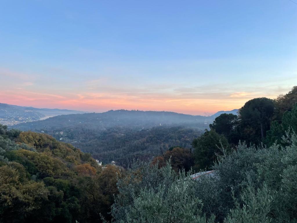vista su una valle di alberi al tramonto di La Riviera Bed & Breakfast a Rapallo