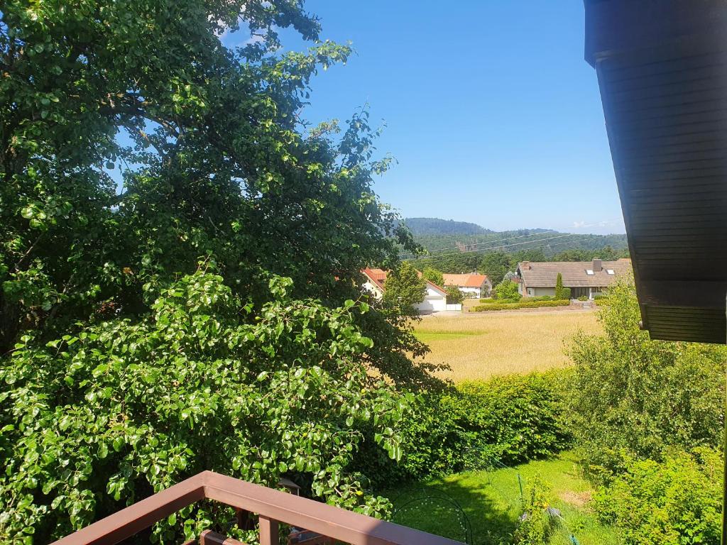 Příroda nedaleko apartmánu