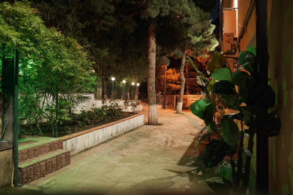 Zahrada ubytování Hotel VENUS