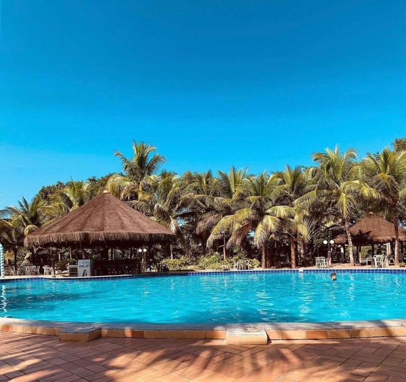 a large swimming pool with palm trees in the background at Flat Pontal do Lago in Caldas Novas