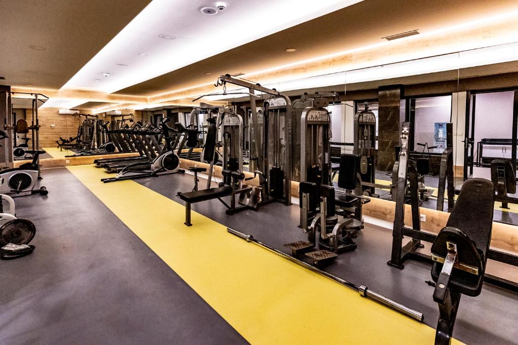 Fitness centrum a/nebo fitness zařízení v ubytování Viking Park Hotel