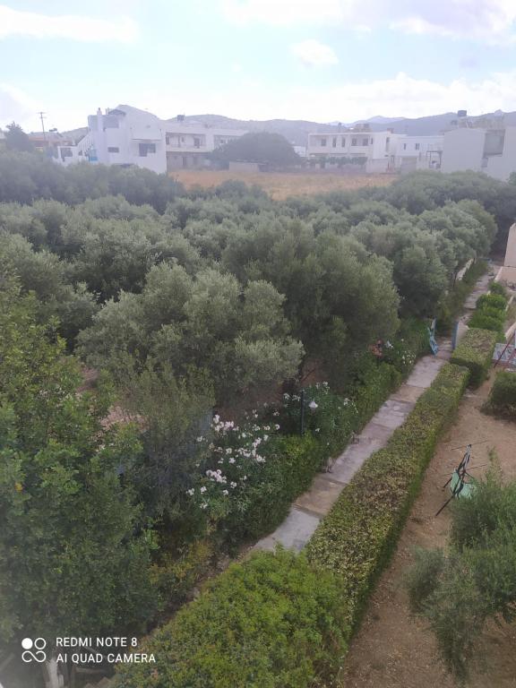 Příroda nedaleko apartmánu