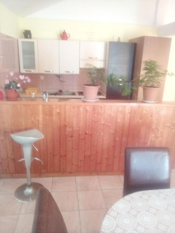 a kitchen with a counter with potted plants on it at Zdenka javoran in Zubovići