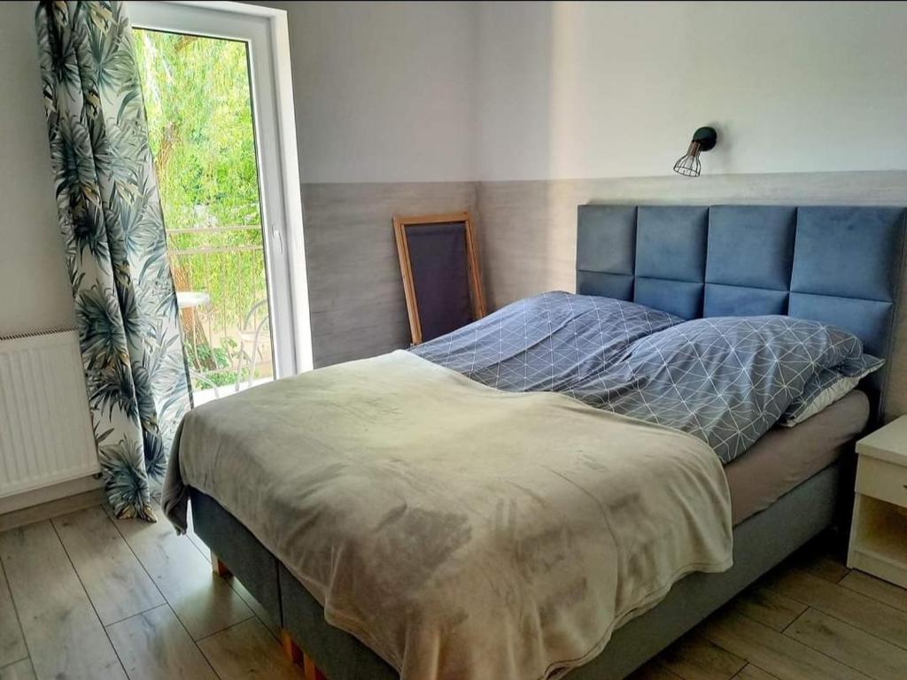 um quarto com uma cama com uma cabeceira azul e uma janela em AGRO-Jabłońscy em Miałkówek