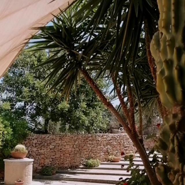 Masseria Agriturismo Il Sorriso Degli Ulivi - Dimora di Charme - 13