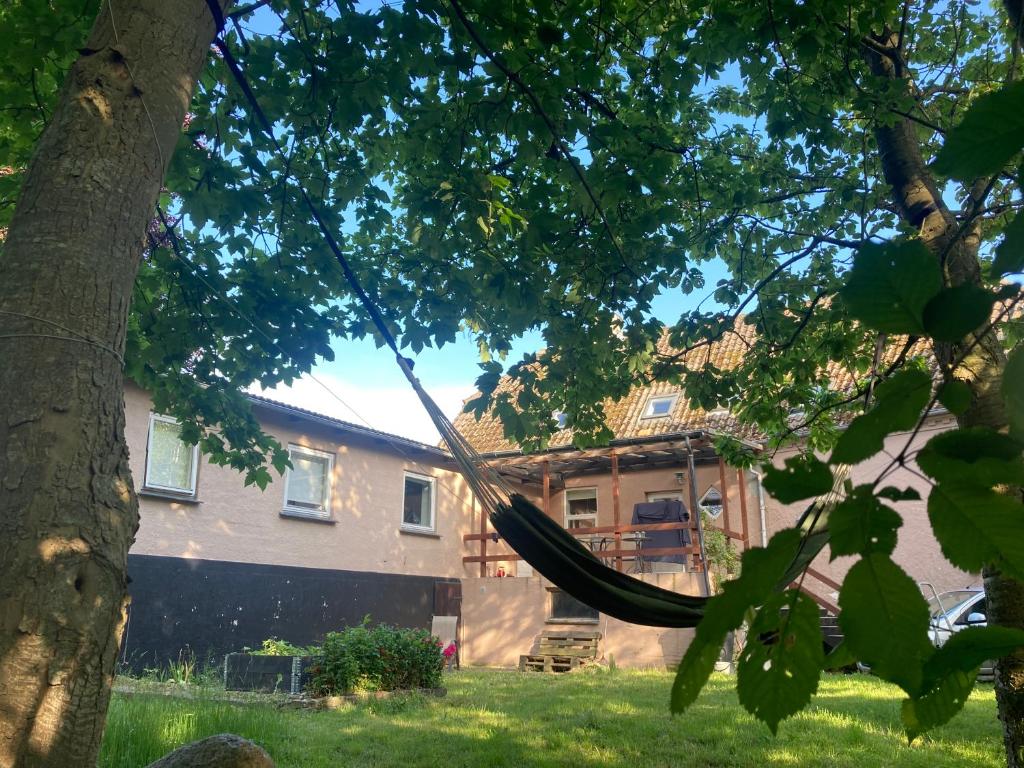 a house with a hammock in front of it at Residens Svalhøj in Hasle