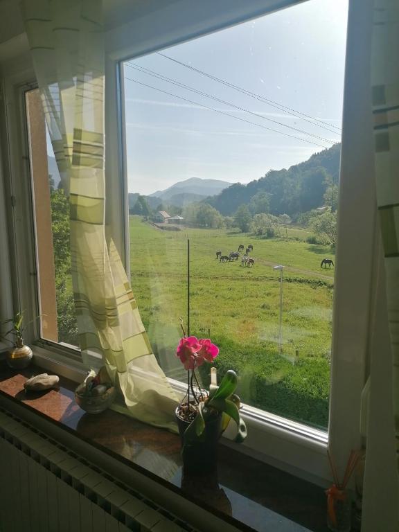 Φυσικό τοπίο κοντά σε αυτό το διαμέρισμα