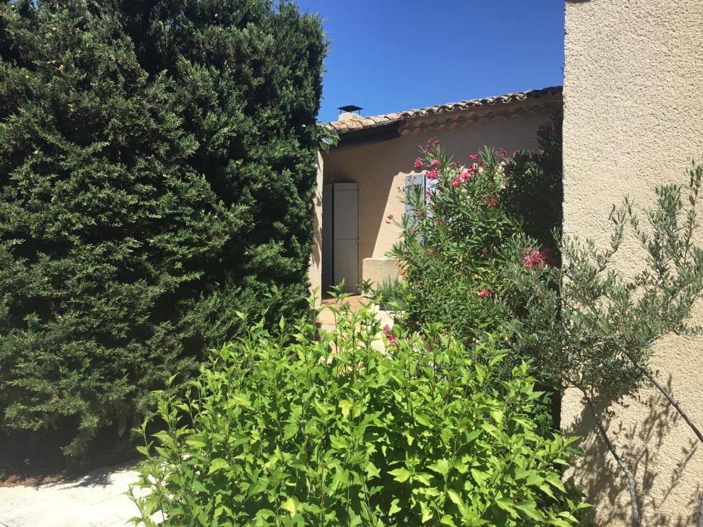Zahrada ubytování Petit cocon dans le Luberon
