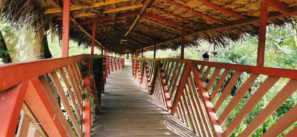 Fotografie z fotogalerie ubytování Fig Tree Camp - Maasai Mara v destinaci Talek