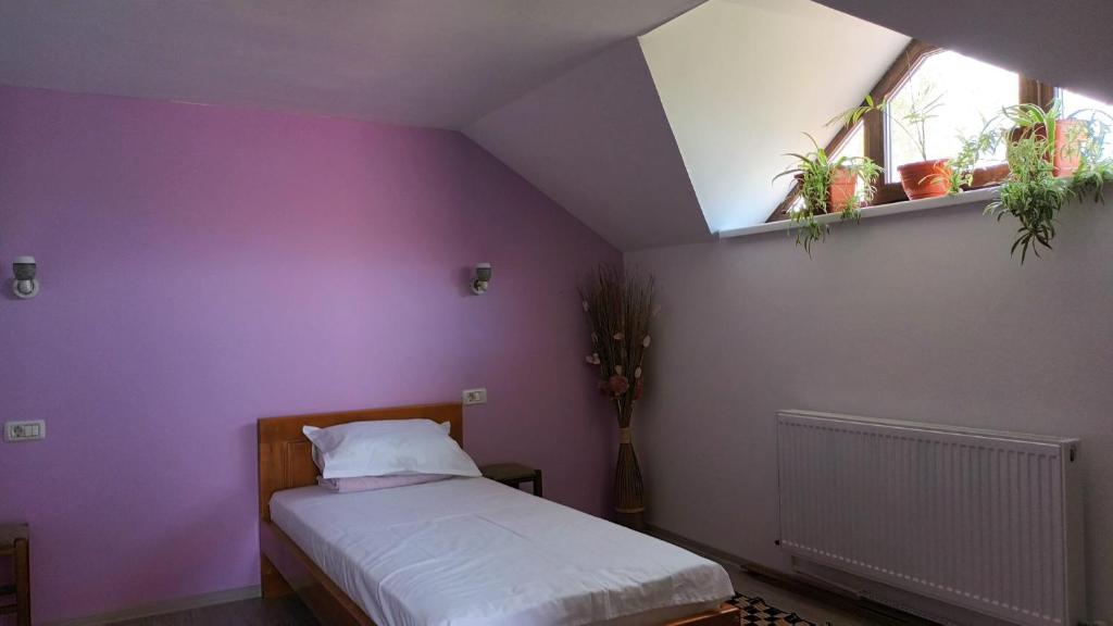 a bedroom with purple walls and a bed with a window at Agropensiunea-Alexandra in Niculiţel