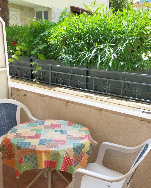 Zahrada ubytování Guesthouse Tri Palme